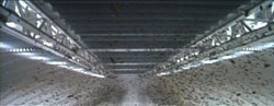 scene 1